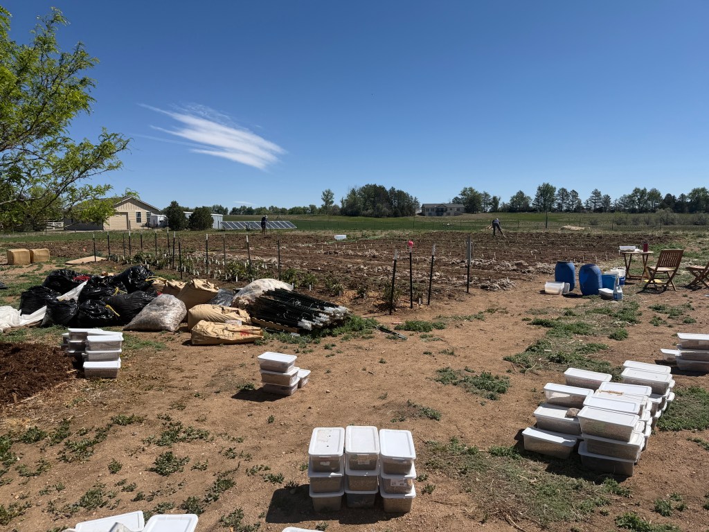 Spring preparations in the field. Photo and caption by Lauren Morgan